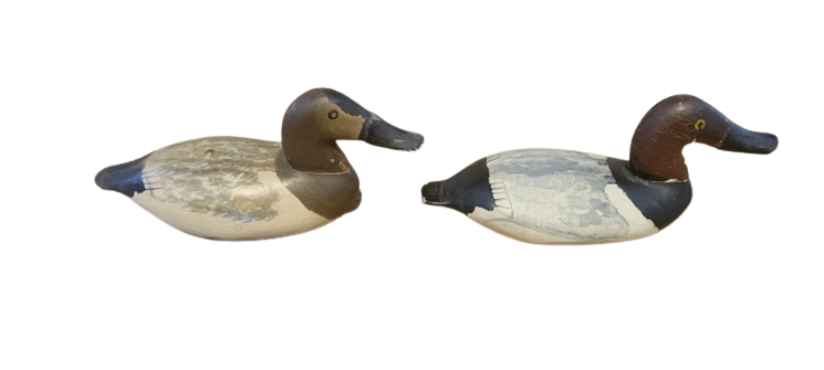Heverin Miniature Canvasback Decoys