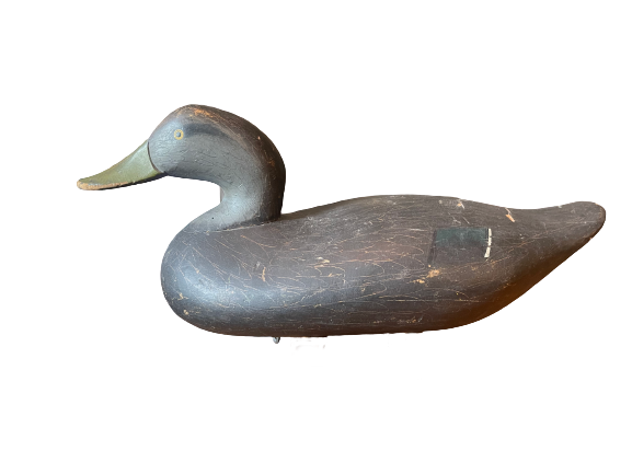 R. Madison Mitchell Black Duck Decoy