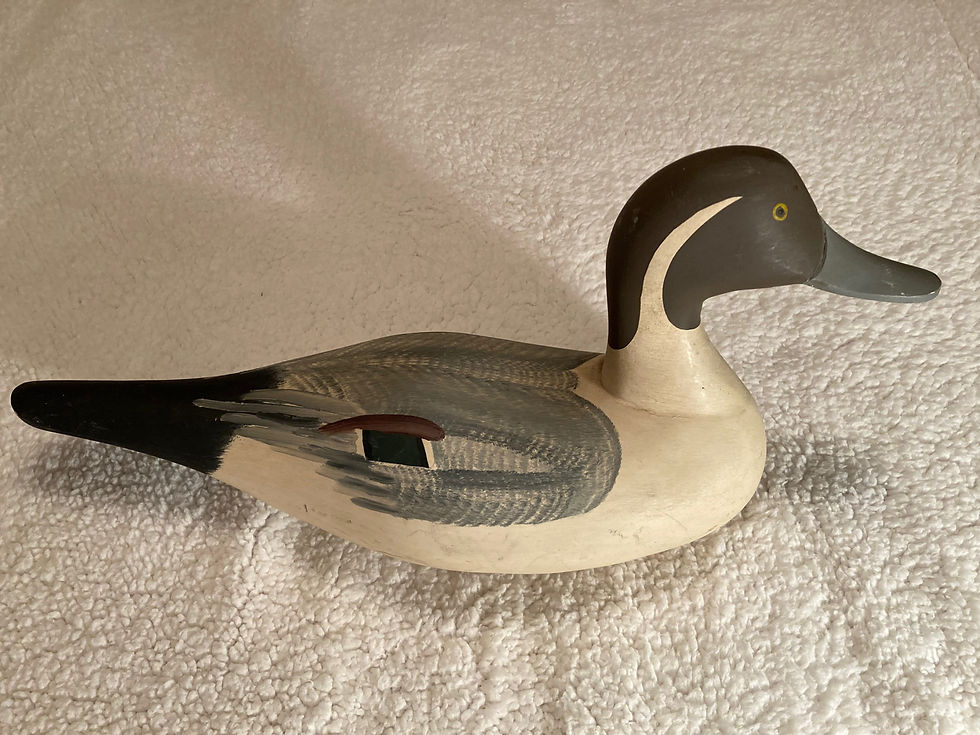 Thumbnail: Paul Gibson Pintail Drake