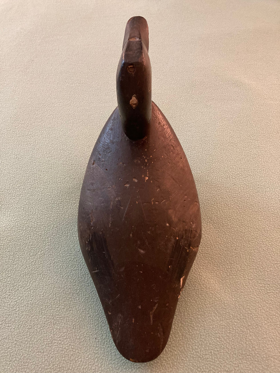Thumbnail: High Head Canvasback