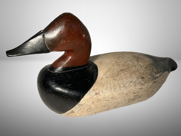 Thumbnail: Charles Nelson Barnard Canvasback Branded