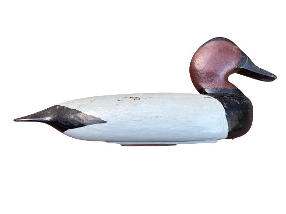 Louisiana Canvasback Decoy