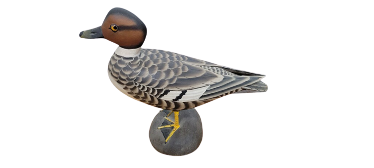 Lapham Standing Goldeneye