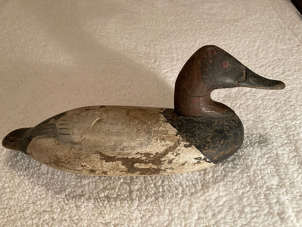 Thumbnail: William Heverin Canvasback Decoy