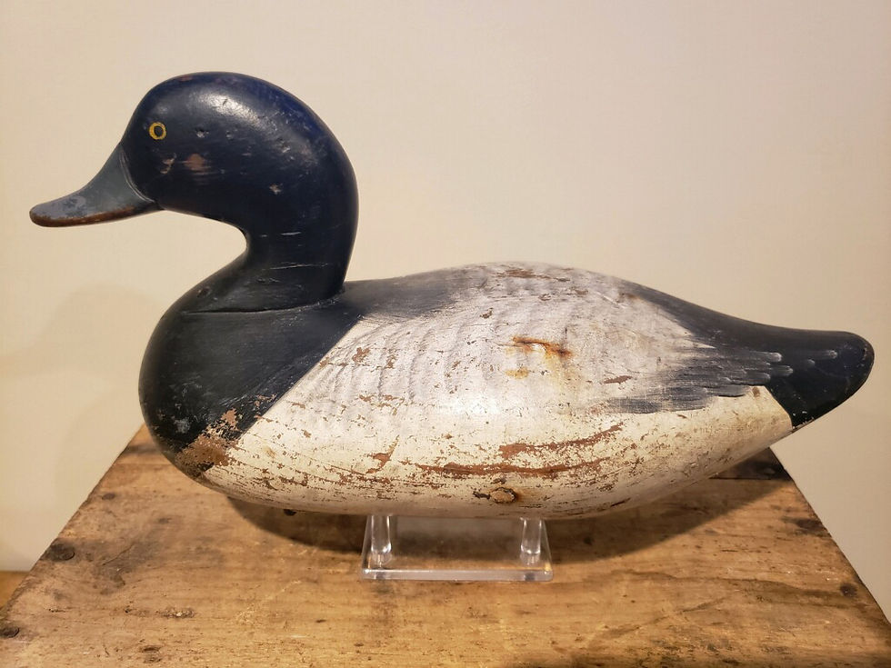 Thumbnail: Madison Mitchell Blackhead Decoy