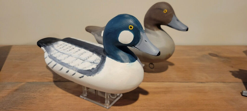 Thumbnail: J. Evans Mckinney Goldeneye Pair