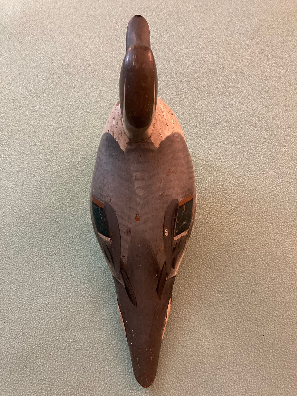Thumbnail: R. Madison Mitchell Pintail Drake