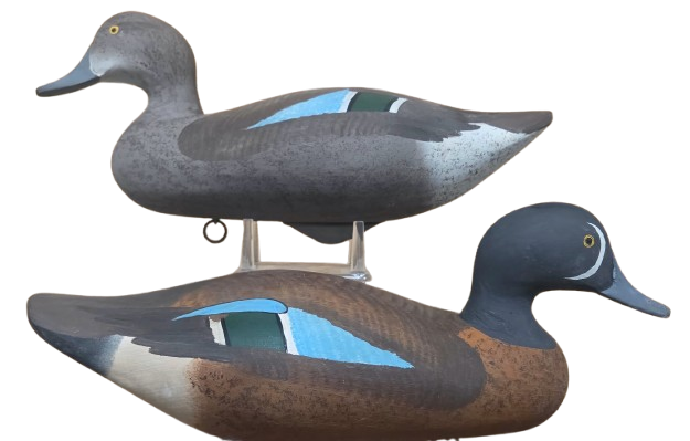 R Madison Mitchell Bluewing Teal Decoys