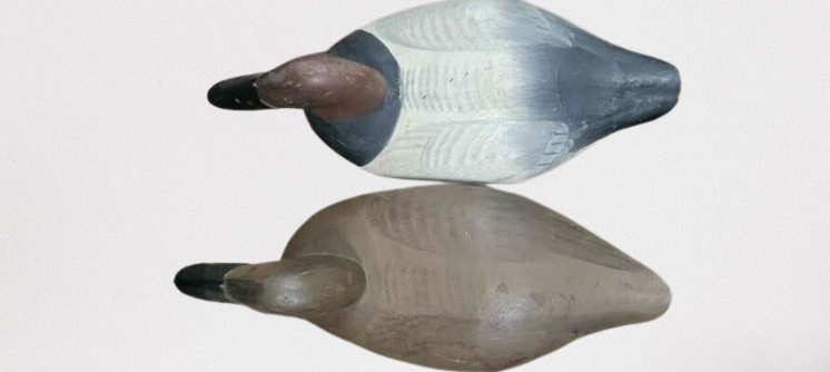 Thumbnail: Canvasback Pair by Paul Gibson