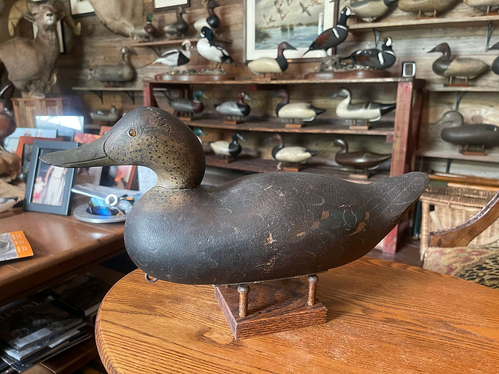 Thumbnail: Mason “Challenge” Grade Black Duck in Original Paint