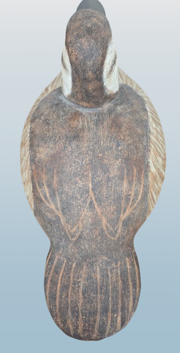 Thumbnail: Cigar Daisey Working Ruddy Duck