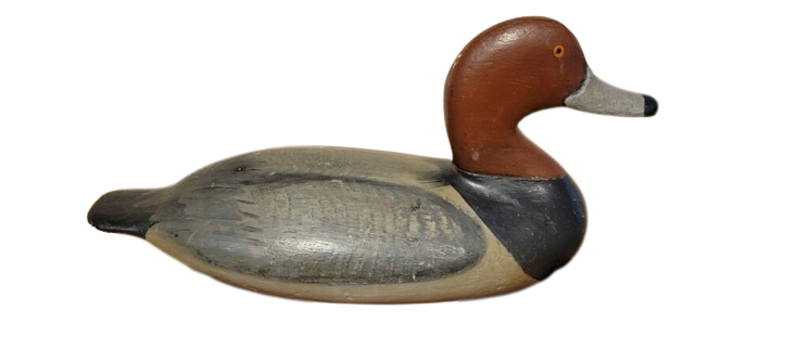 Will Heverin Redhead Branded Decoy