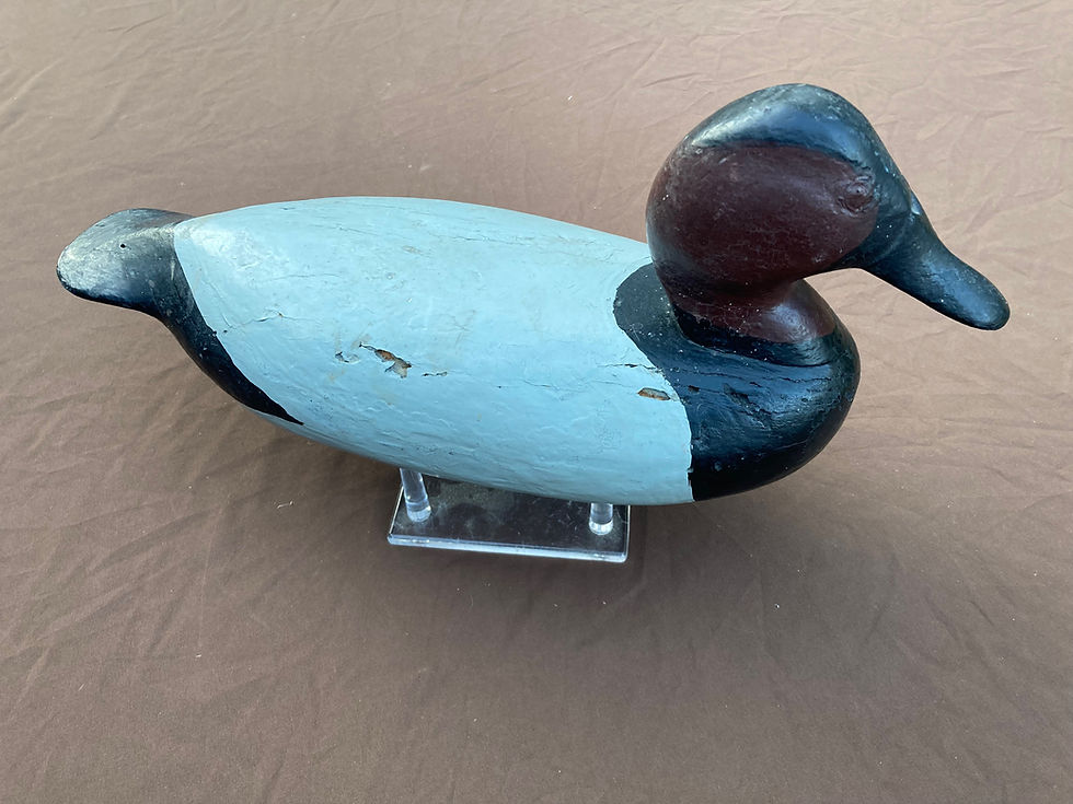Thumbnail: Louisiana Canvasback Decoy