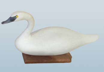 Thumbnail: Upper Bay Miniature Swans