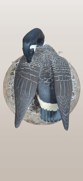 Thumbnail: Miniature Canada Goose Decoy by Bill Riggin