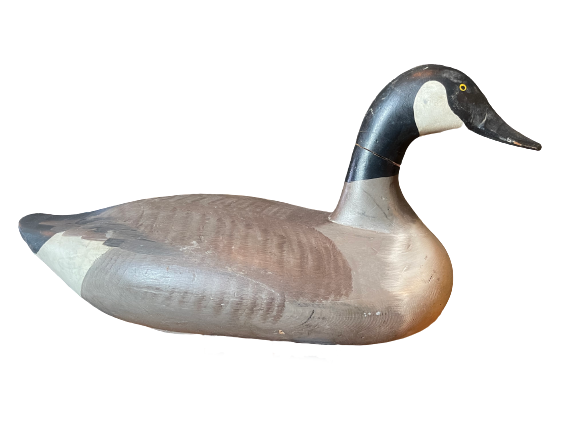 1940’s R. Madison Mitchell Water/Field Canada Goose with brand and North/S