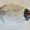Thumbnail: Jim Currier Mini Canvasback Drake