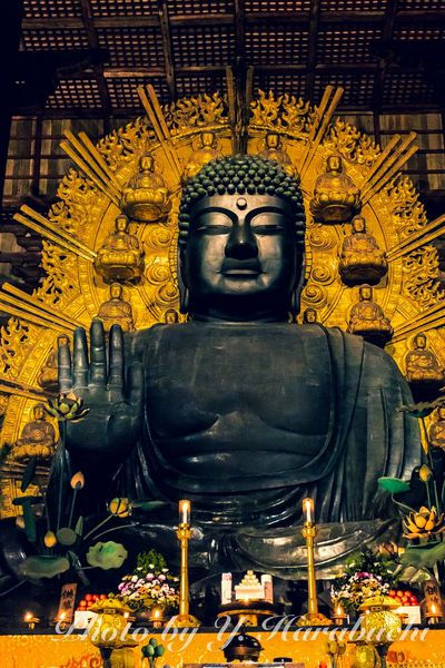 東大寺 大仏さま(2022年11月16日)