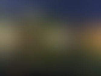 興福寺五重塔 (2022年11月18日)