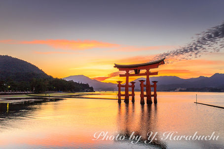 日本夜景巡り(6)嚴島神社(宮島、広島、2015年10月)