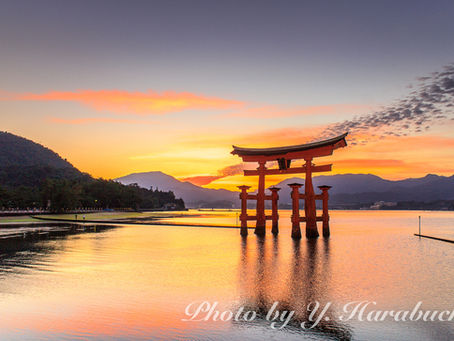 日本夜景巡り(6)嚴島神社(宮島、広島、2015年10月)