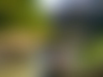 山口の日本庭園には三百余年の歴史が息づいている(湯田温泉、2024年3月15日)明治維新の志士達はここに集って語り合った。