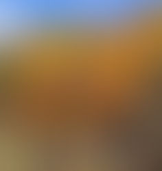 層雲峡の紅葉 2.溶結凝灰岩柱状節理(上川町、2023年10月21日)