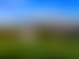 旭川ではエゾヤマサクラ満開です4(#上御料の一本桜、#富良野市、2023年5月2日)