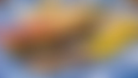 旭川の寿司も美味い！（2025年10月25日、竹ちゃん寿司）