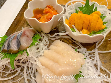 根室は魚が美味い!#8(蝦夷バフンウニ、ホタテ、ホヤ、鯖、めんめ(キンキ)2023年12月6日、)