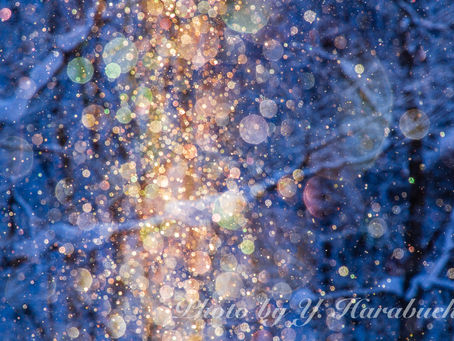 ダイヤモンドダストの舞い(美瑛町、2015/2/4)