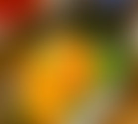 根室は魚が美味い!#15(2024年5月9日) 蝦夷バフンウニ、活ミズタコ、めぬきカマ塩焼き。