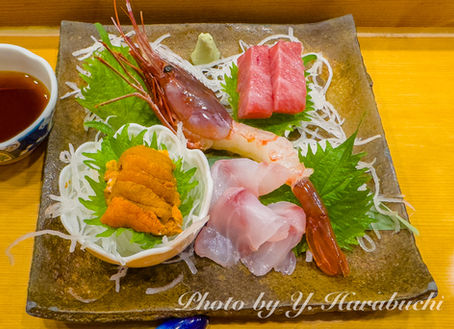 根室は魚が美味い!#36(2025年12月10-11日)