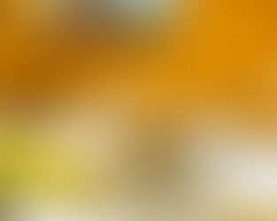 和歌山は鱧が美味い!(2024年9月)