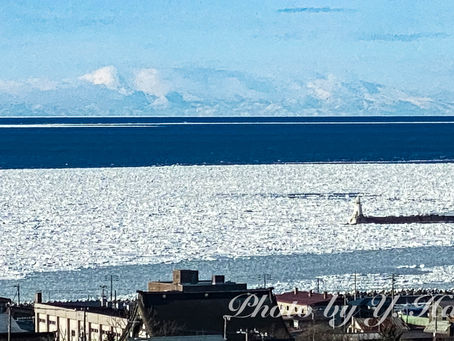 流氷接岸する(根室市、2024年2月7日)