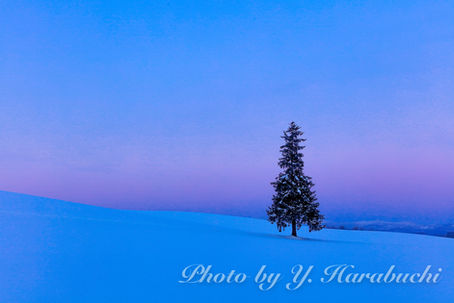 Magic hour of the midwinter.