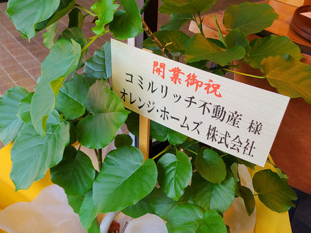 ありがとうございます。