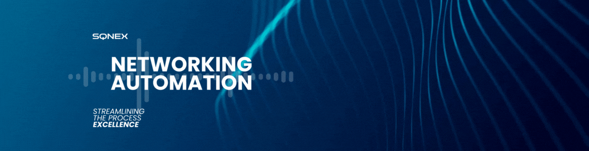 SQNEX NETAUTO BANNER