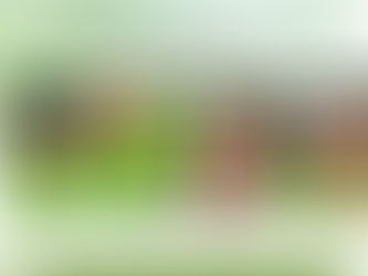 Marche nordique : le grand dépoussiérage technique du printemps (loisir & compétition)