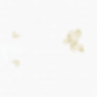 khapanat team building bassin d'arcachon jeu de cohésion d'équipe