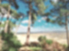 eam building et séminaire d'entreprise sur le Bassin d'Arcachon
