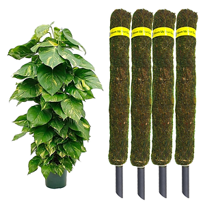 Moss Grass Pole 3 Ft