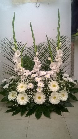 Miniatura: Centros de Baptizado/Casamento