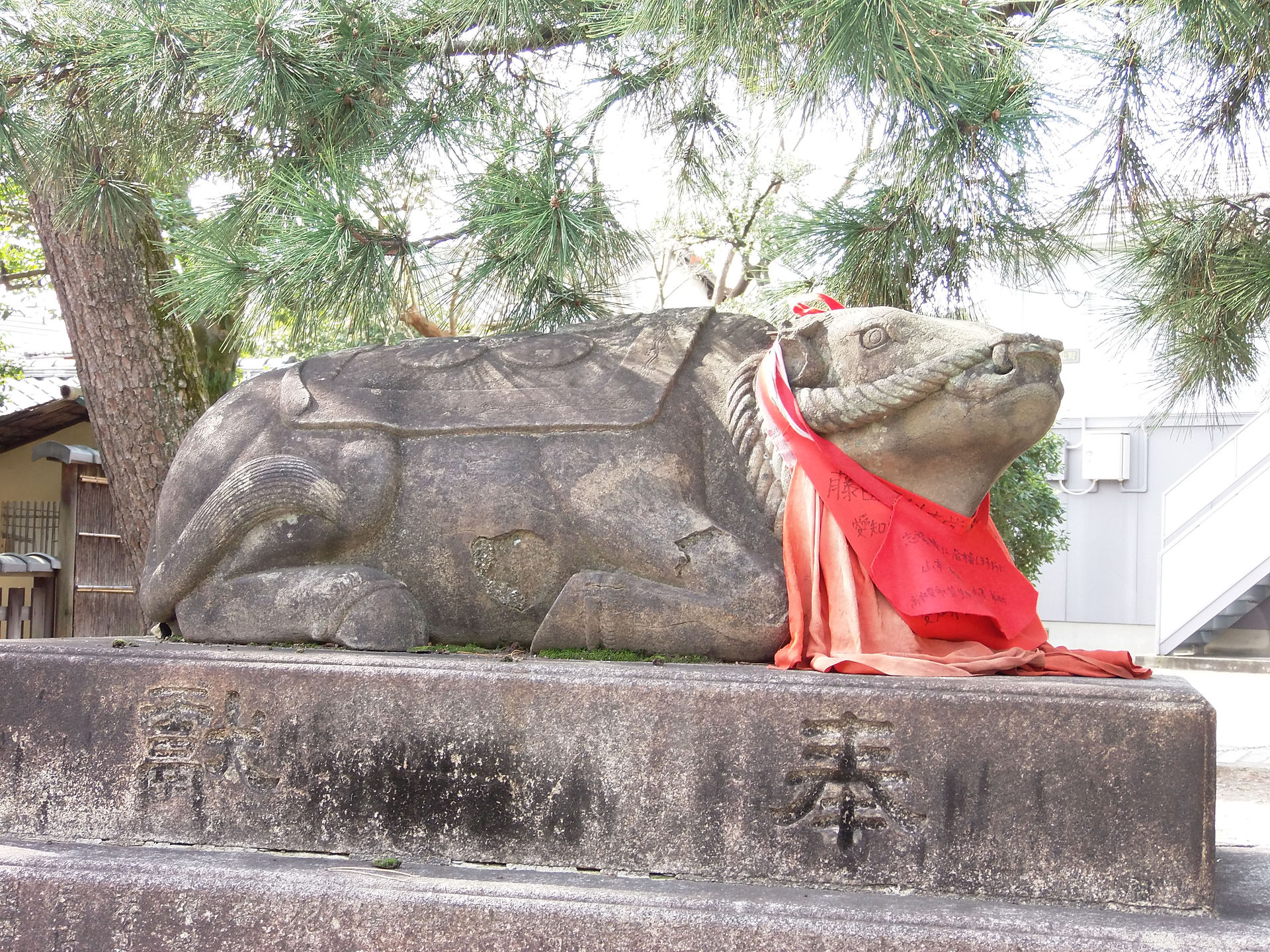 P2060069