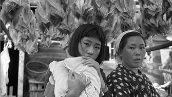 Shoichi Kudo, de Aomori al mundo