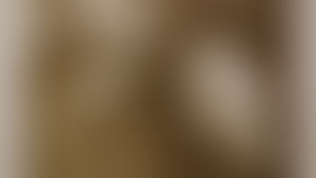 La constante búsqueda del concepto nikkei