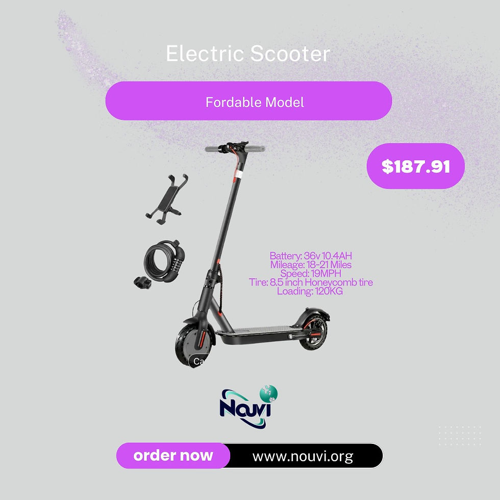 Electric Scooter