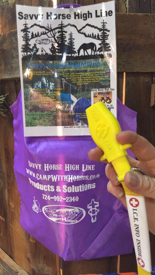 Thumbnail: I.C.E. ManeStay EVAC