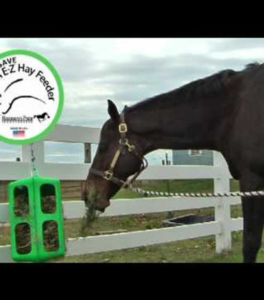 5 Pack Hay Feeder Health Ez Feeder Cube Green Only