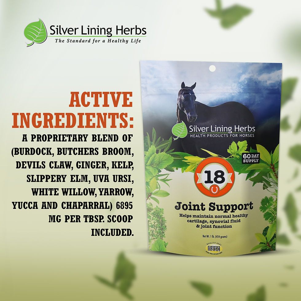 Thumbnail: #18 Joint Support 1lb. Bag (SilverLiningHerbs)